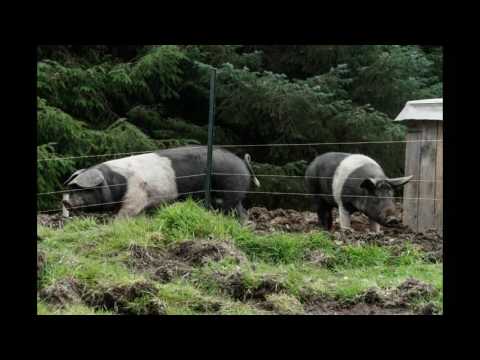 Zu Gast bei Highland Titles / Our visit to Highland Titles on 21 Sept.16