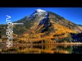 Oneted - Badman (Original Mix) 