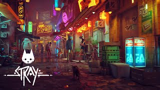 Stray teaser trailer teaser