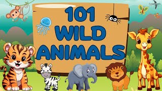 Wild Animals | Learn Animal Names in English for Kids | Vocabulary Video