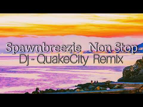 Spawnbreezie Non Stop Remix [Dj QuakeCity]