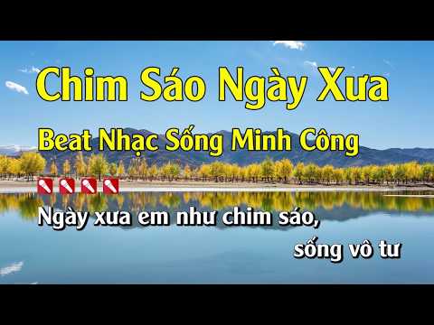 Karaoke Chim Sáo Ngày Xưa Hay Nhất - Tone Nam