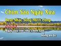 Karaoke Chim Sáo Ngày Xưa Hay Nhất - Tone Nam