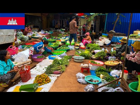 Daily Life in a Cambodian Street Market | Tradition in Motion Cambodia’s Local Market Pulse