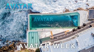Avatar: The Way of Water | Australian Avatar Week