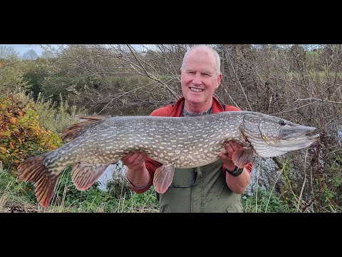 Big 23lb pike and large barbel  from the river Wye