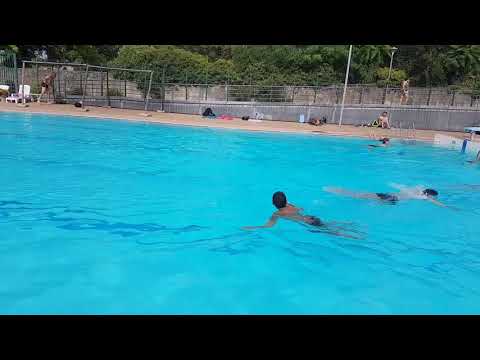 Natation : Apprentissage du Crawl