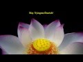 Longevity Prayer For All Lamas