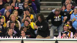 BIRDA takes a screamer in the stands at DreamTime