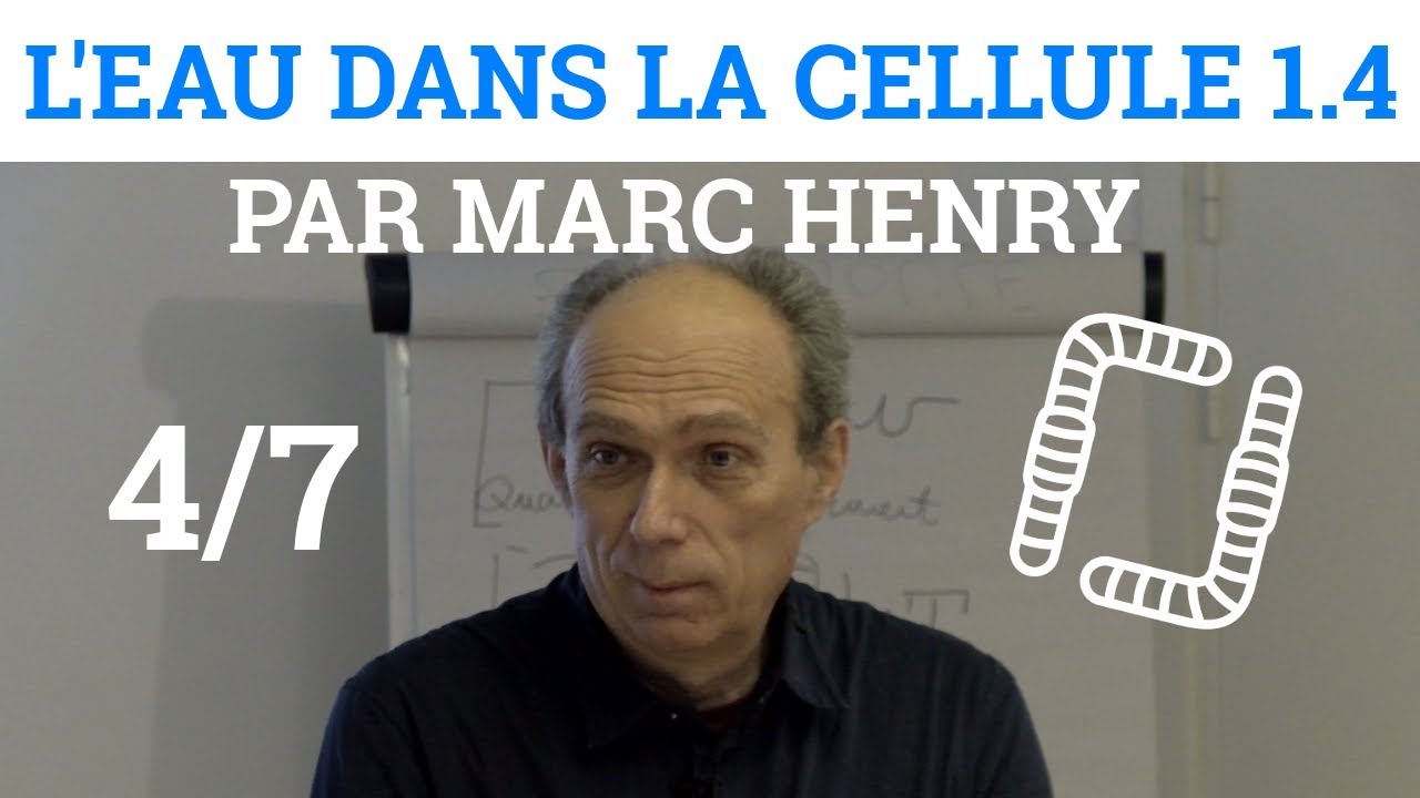 4/7 - Marc HENRY - L'Eau dans la Cellule - L'Action d'un Gène par une Fréquence