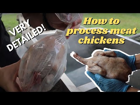 , title : 'STEP BY STEP: BUTCHERING + PROCESSING MEAT CHICKENS! | The Galloway Farm'