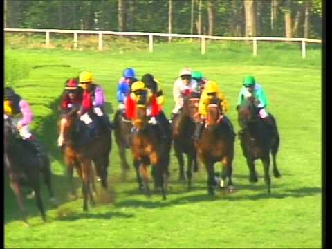 Galopprennbahn Dresden 23.04.2011 - 5.Rennen