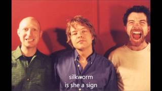 silkworm is she a sign