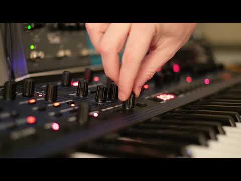 OB-6 Vintage knob - Sound test