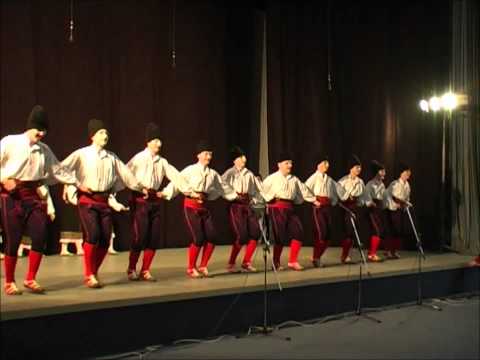 ANI SKD Prosvjeta Vukovar