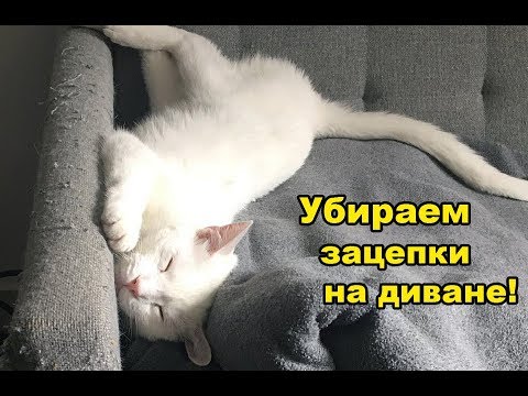 Как убрать зацепки на диване, мебели, зацепки от кошки