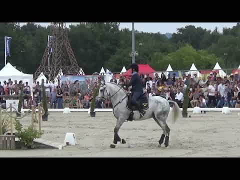 World Championship Working Equitation 2022 in les Herbiers speed test Johansson Ida Maria on HOXI