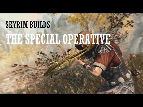 Skyrim SE Builds - The Special Operative