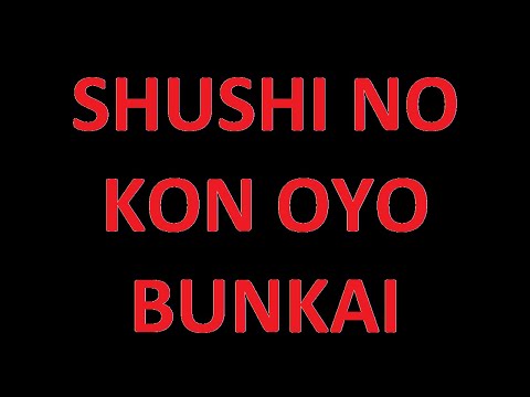 International Matayoshi Kobudo Association [Shushi no Kon Oyo Bunkai]