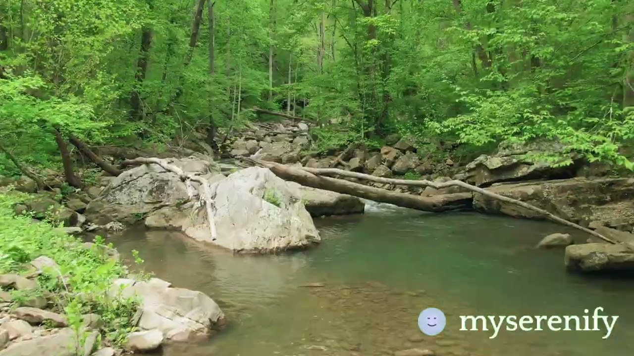 Explore Calm Meditation Music for an Hour of Relaxation