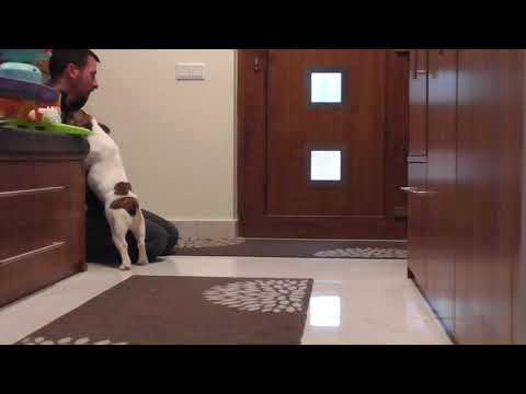 Haley 2. 2019.11.16.