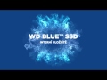 Pevný disk interný WD Blue SSD 500GB, WDS500G2B0A