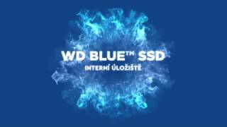 WD Blue 500GB, WDS500G2B0A