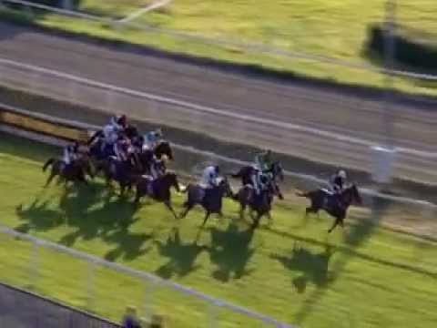 Fegentri races: Ovrevoll (Norway) 11.08.2011