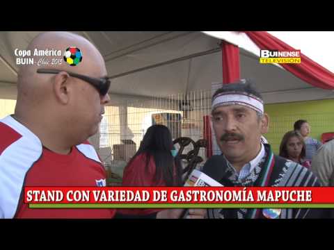 CONOZCA DIFERENTES STAND DE LA FIESTA DEL VINO EN BUIN