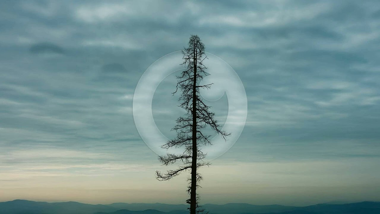 NOTAKU & Seathasky - Thrill