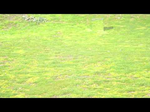 Sara Ferhati - "untitiled" mirror