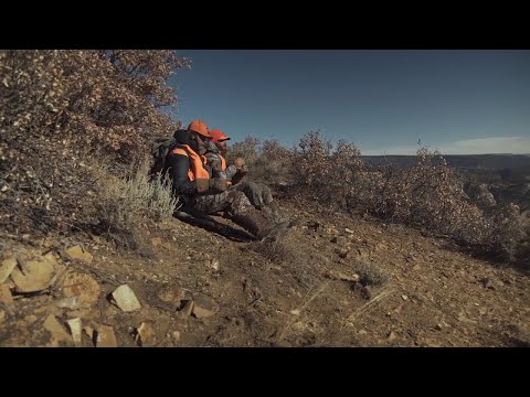 Tips And Tactics - Approaching A Glassing Spot