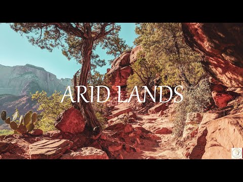 #25 | Arid Lands: Stunning views of deserts, canyons and arid lands with emotional music [4k]
