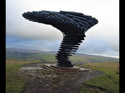 The Singing Ringing Tree