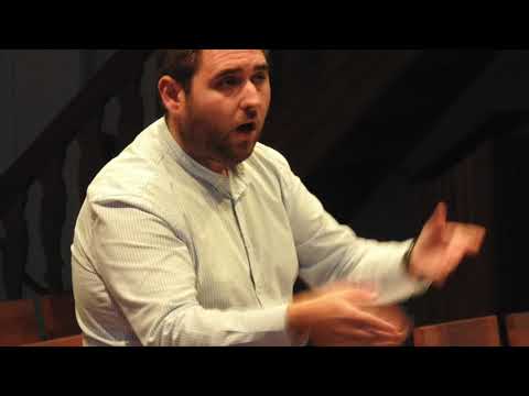 Vic Nees - Ave regina coelorum