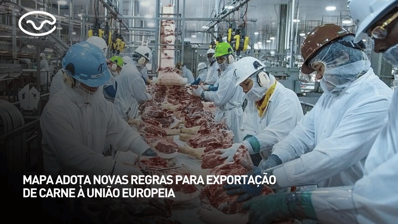 MAPA adota novas regras para exportação de carne à União Europeia
