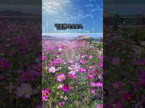 누구나 인생샷이 나오는 힐링 명소, 대가야어북실 #고령군sns기자단 김미선