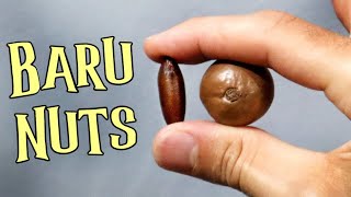 BARU & RAW MACADAMIA - Nut Review! (Baruka nut) - Weird Fruit Explorer