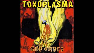 TOXOPLASMA   Allesfresser 1992