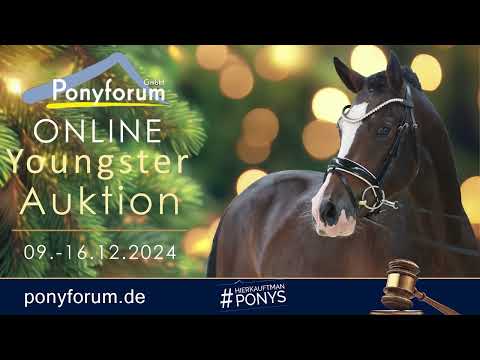 Nachtzauber KE Wallach 2022 Neverland WE / Cosmopolitan D