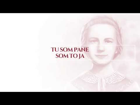 Poetica Musica - Ozvena (CD Večnosť vonia...)