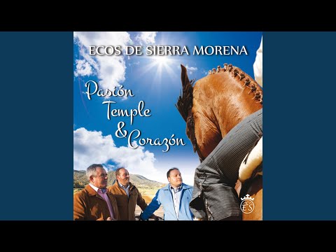 Qué leer este verano: los libros que más recomienda (y enganchan) según Amaya Ascunce