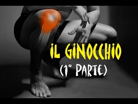 Cintura in vita il dolore Una crema aiuta con osteocondrosi
