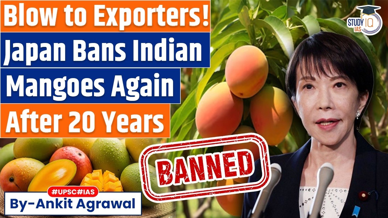 Japan bans Indian mangoes again after 20 years: What's Wrong? Ankit Agrawal Study IQ