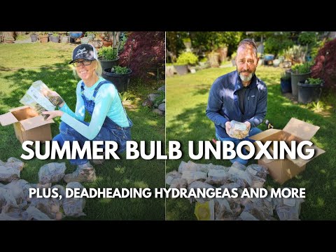 Spring Garden Maintenance Tips (GET READY FOR SUMMER!)