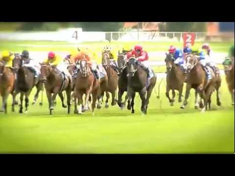 2010 Inglis Villiers Stakes - Dances On Waves