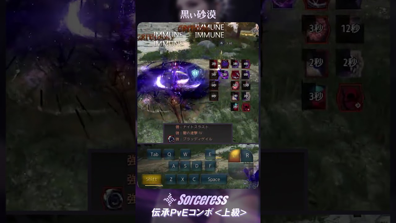 【GMキャロリア流】伝承ソーサレス PvEコンボ紹介動画＜上級＞