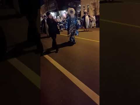 Ferko string band returns after the mummers day parade