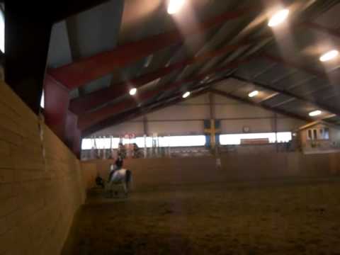 Dressyr träning för Svenne