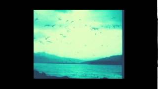 Emiliana torrini — birds w/ RainyMood